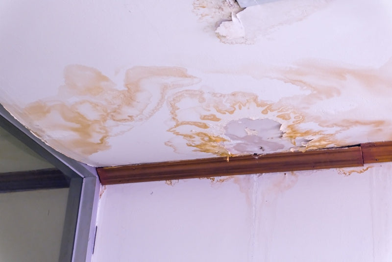 Comprehensive Water Damage Recovery Planning for Families