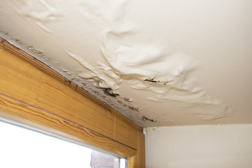 Water Damage Sanitation Procedures for a Clean Home