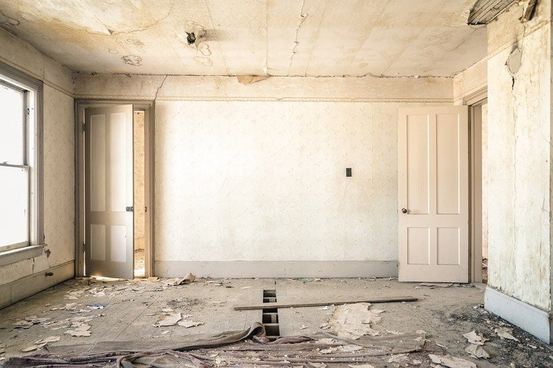 Why You Need Certified Water Damage Restoration Professionals