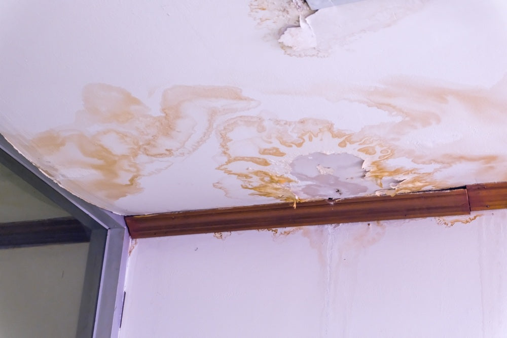 Water Damage Mold Removal Basics: Safe Cleanup Strategies
