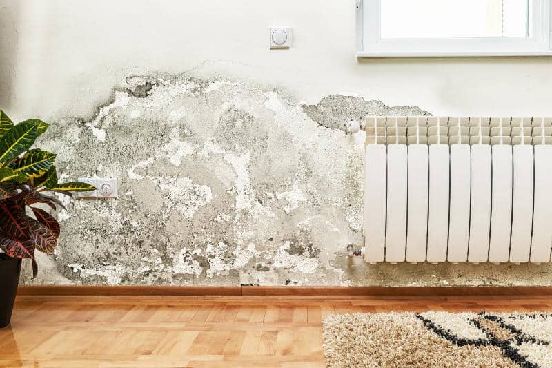 Understanding Water Damage Contamination Risks (Category 1-3)