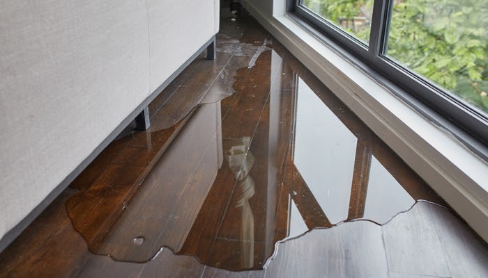 Repairing Drywall After Water Damage: A Step-by-Step Guide
