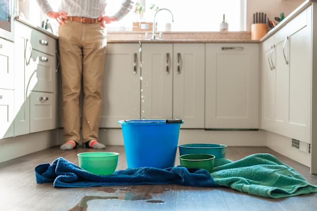 Professional Water Damage Cleanup Guide for Your Property