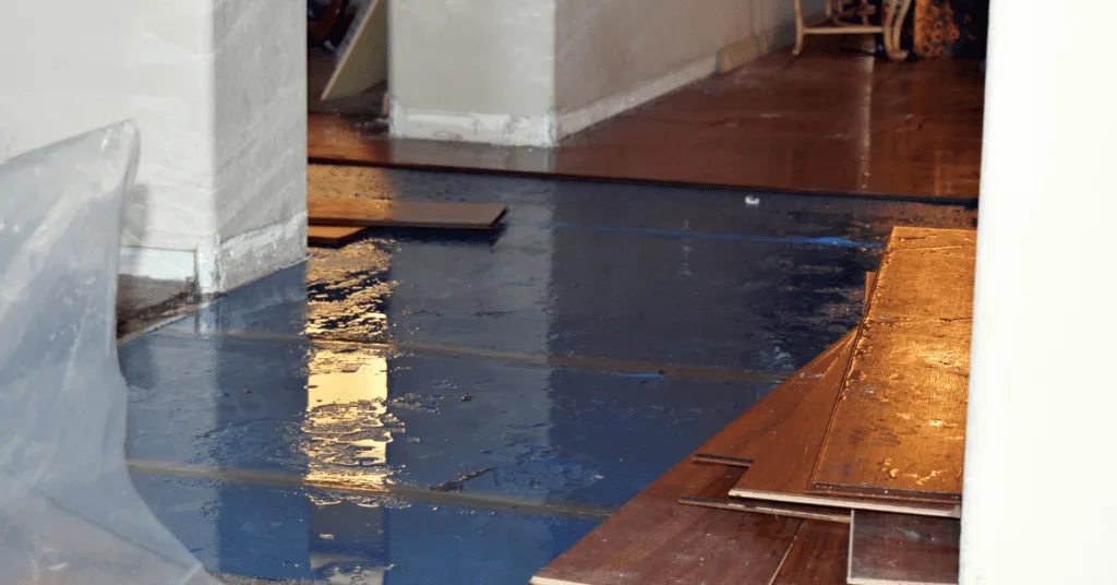 Water Damage Coverage Exclusions: What Insurance Won't Pay
