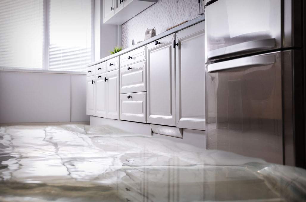 Repairing Floors After Water Damage: Assessment & Restoration