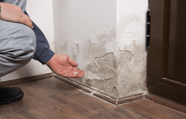 How Quickly Mold Grows After Water Damage (The 48-Hour Rule)