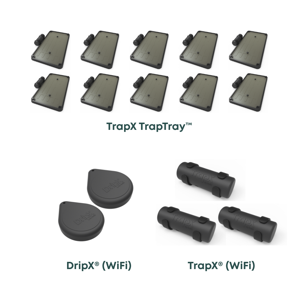 Airbnb Host Protection Kit – 3 TrapX® + 2 DripX® + 10 Glue Boards (WiFi)