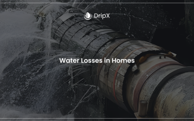 Water Losses in Homes